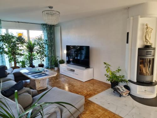 TV a/nebo společenská místnost v ubytování Fint hus på skrea strand falkenberg