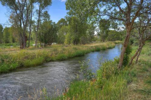 a river in a field with grass and trees at Pine River Cabin 2 BR Bayfield in Bayfield