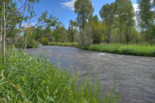 a river with grass and trees in the background at Pine River Cabin 2 BR Bayfield in Bayfield