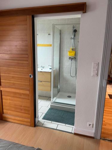 une salle de bain avec une douche avec une porte vitrée dans l'établissement Chez Carine, à Schiltigheim