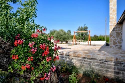 a garden with red flowers and a swing at Vila Nela in Benkovac