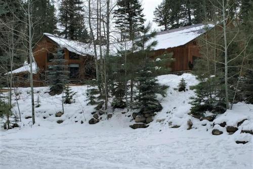 a cabin in the woods with snow on the ground at Seven Pines Cabin in Vallecito Lake Area in Bayfield