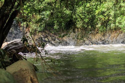 a view of a river with rapids and trees at No Sólo Río in La Vega