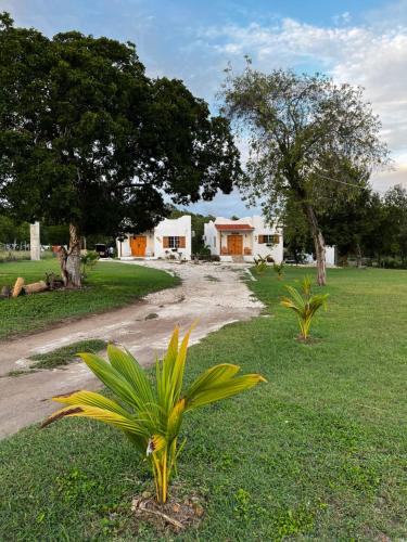 a dirt road in a field with houses in the background at Azteca Villas in Treasure Beach