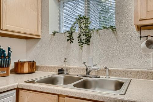 eine Küchenspüle mit einer Pflanze darüber in der Unterkunft 1440 Fenton St in Lakewood