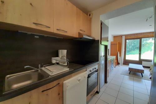 uma cozinha com um lavatório e uma bancada em Apartment on the slopes em La Clusaz