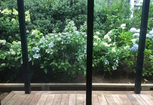 a window view of a garden with flowers at a'meadow in Trentham