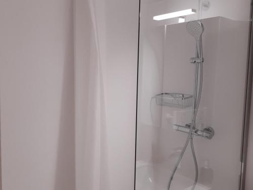 une douche avec une porte vitrée dans une salle de bain dans l'établissement Spacieux T2 avec WiFi, parking inclus, proche centre Chamonix - FR-1-517-63, à Chamonix-Mont-Blanc