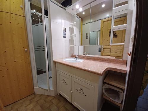 a bathroom with a sink and a shower at Charmant 2 pièces avec balcon et parking au Col du Corbier - FR-1-573-107 in Le Biot