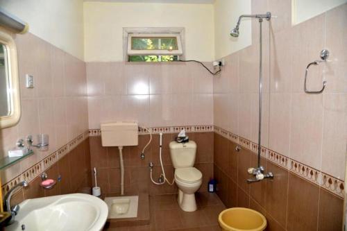 ein Bad mit einem WC, einem Waschbecken und einer Dusche in der Unterkunft Fort and Indus River View Guest House in Skardu