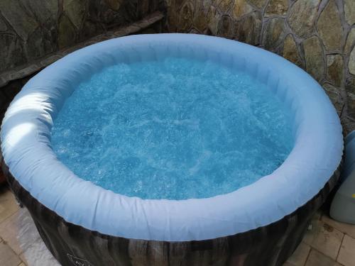an inflatable pool in a backyard with blue water at Brunarica Biopark -Log house Biopark in Grosuplje