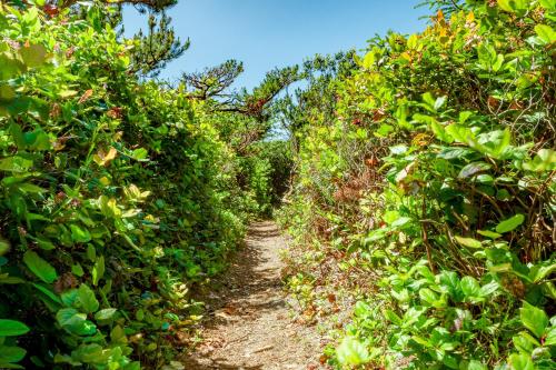 Fotografie z fotogalerie ubytování McKinnon's Beach House v destinaci Rockaway Beach
