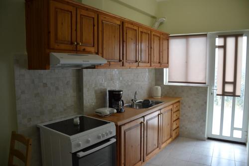 a kitchen with wooden cabinets and a sink and a stove at Frygano Apartments 1 in Oítilon
