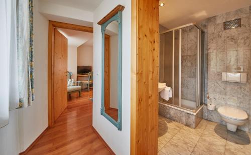 a bathroom with a toilet and a walk in shower at Chalet Haider in Saalbach Hinterglemm