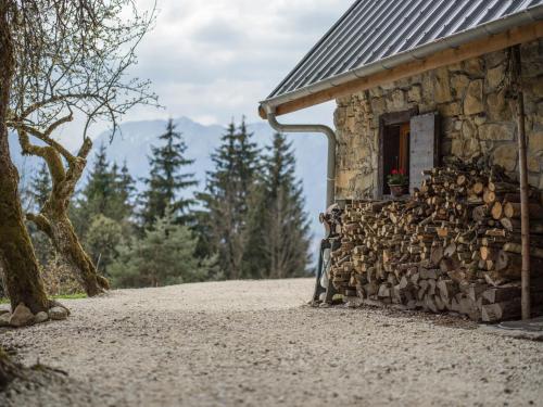 Foto dalla galleria di Venez Chez Vous - Chalet Le Banc du cerf a Rovagny