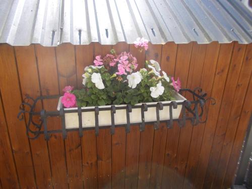 a planter with pink and white flowers on a fence at Lilla Stugan, Sjötorp in Mariestad
