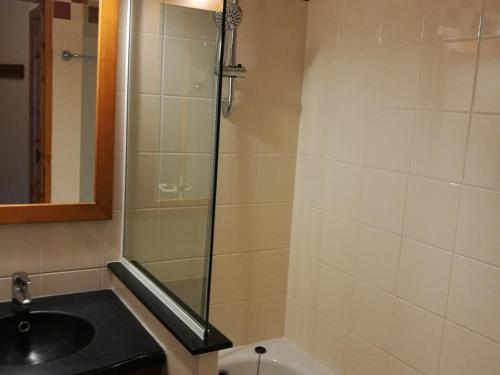 Appartement cosy skis aux pieds, animaux admis