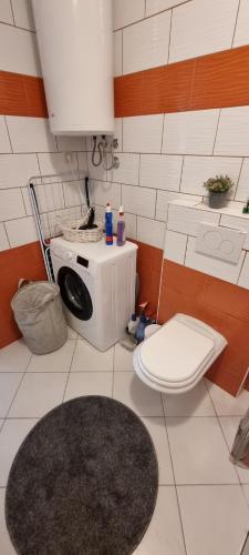 uma casa de banho com uma máquina de lavar roupa e um WC em Apartman sa pogledom na more u Linardicima em Linardići