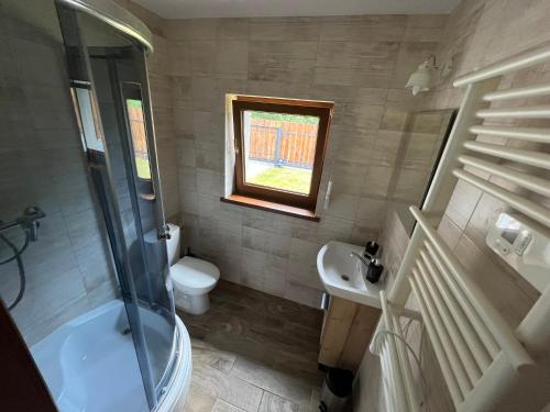 een badkamer met een toilet, een wastafel en een douche bij Domek-Radawa-Królewska 77,domek Piotr in Radawa