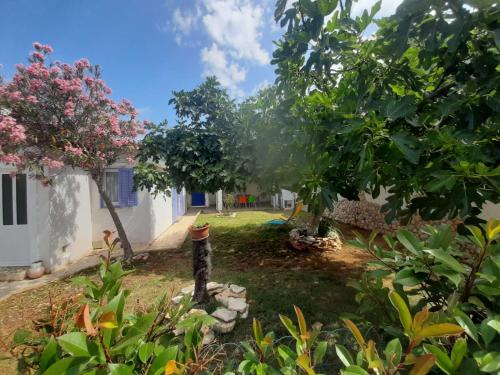 Gallery image of Vacation House Bimba - Pomer in Pomer