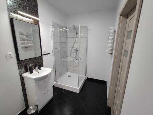 uma casa de banho branca com um chuveiro e um lavatório. em Apartament Bukowy em Wejherowo