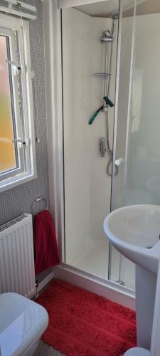 a bathroom with a shower and a toilet and a sink at The Wee Hoose in Boat of Garten