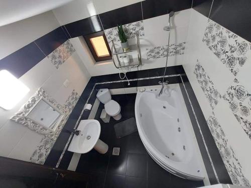 a bathroom with a tub and a toilet and a sink at Casa Dor de Lac in Salcioara