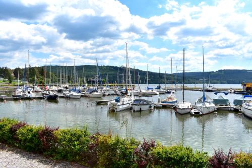 a bunch of boats docked in a harbor at Family home Lipno Lake, Airstay Lipno in Lipno nad Vltavou