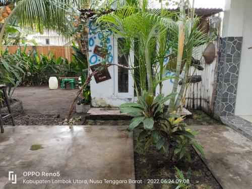 a house with a palm tree and a surfboard at H.Said Homestay in Gili Trawangan
