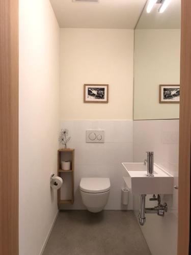 a bathroom with a toilet and a sink at Ferienwohnung Stenna SELVA direkt bei Bergbahnen Skipiste in Flims