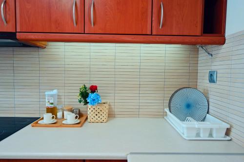 Kitchen o kitchenette sa NEW TIMES SEAFRONT HOTEL APARTMENTS MELISSI