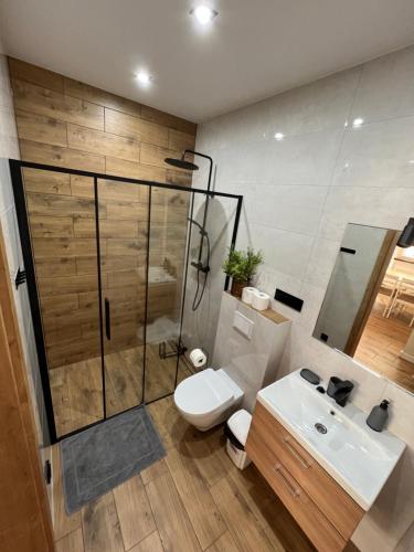 een badkamer met een douche, een toilet en een wastafel bij Ginger Apartament in Wilkasy