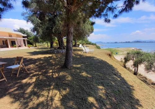 un árbol sentado a la sombra de un árbol junto al agua en Kiani Akti Villas, en Preveza