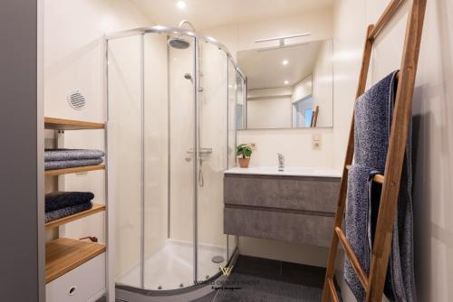 a bathroom with a shower and a sink at Luxurious apartment next to the sea and city centre with free parking space in Ostend