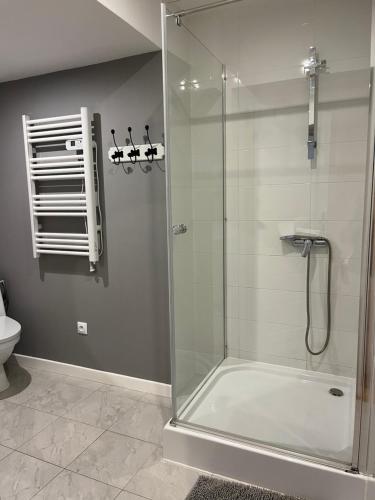 eine Dusche mit Glastür im Bad in der Unterkunft Apartamenty We Młynie in Warpuny