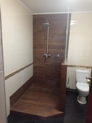 a bathroom with a shower with a toilet at Hotel LUDMIR in Volodymyr-Volynsʼkyy