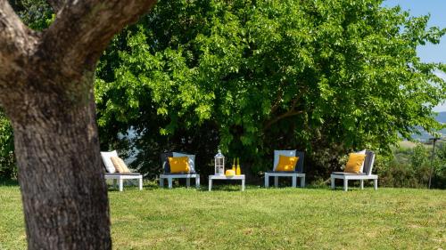 a group of chairs sitting in the grass under a tree at Masso delle Fanciulle 14, Emma Villas in Pomarance