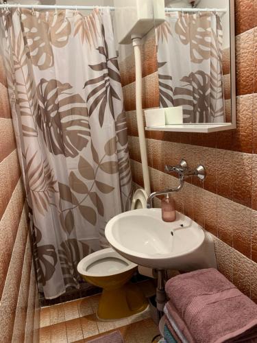 ロヴィステにあるBolero Guest Houseのバスルーム(洗面台、トイレ、シャワーカーテン付)