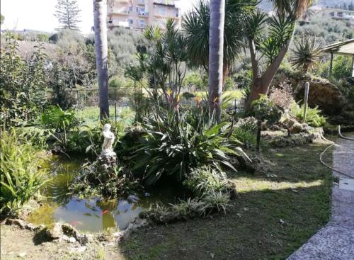 een tuin met palmbomen en een vijver bij La Gallizza in Cefalù