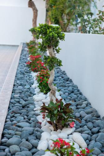 Foto Dias Luxury Homes 4