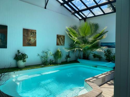 - une piscine dans une maison ornée de plantes dans l'établissement Maison loft, à La Rochelle