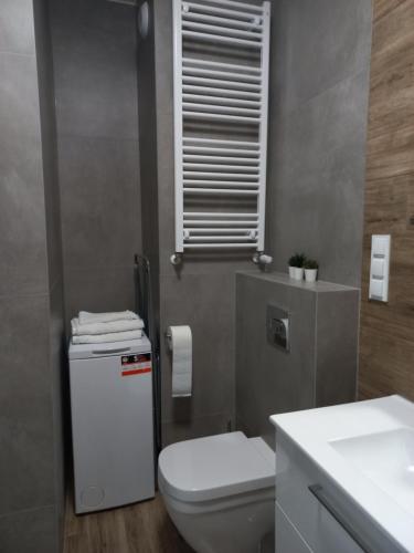 La salle de bains est pourvue de toilettes blanches et d'un lavabo. dans l'établissement Apartamenty Termalne na Długiej 6, à Uniejów