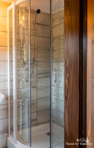 a shower with a glass door in a bathroom at Casa lu` Cojocar in Stulpicani
