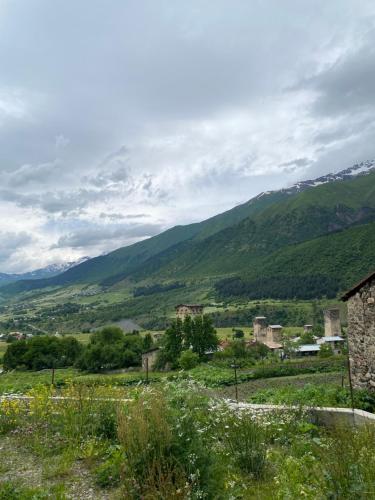 a view of a valley with mountains in the background at Vodo's Guesthouse in Chvabiani