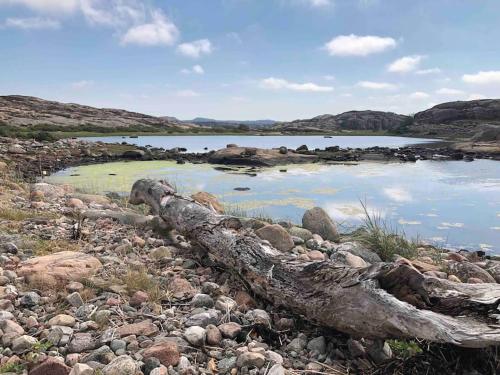 a log laying on the rocks near a body of water at Panoramablick - Meer - Familien - Remote Work in Fjällbacka