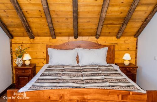Postel nebo postele na pokoji v ubytování Casa lu` Cojocar