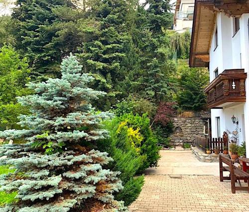 Zahrada ubytování Appartments Bergluft