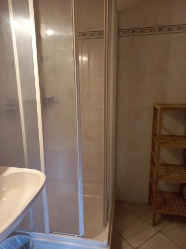 ein Bad mit einer Dusche und einem Waschbecken in der Unterkunft Ferienzimmer Brennerbauer in Lofer