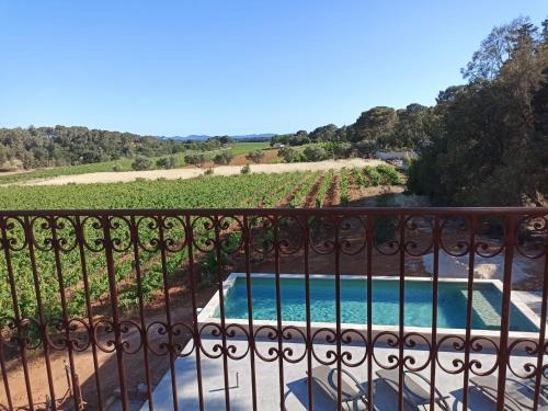 a view from a balcony of a pool and a vineyard at Sous Les Pins gîtes et chambres d'hôtes in La Londe-les-Maures