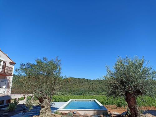 a swimming pool in a yard with two trees at Sous Les Pins gîtes et chambres d'hôtes in La Londe-les-Maures
